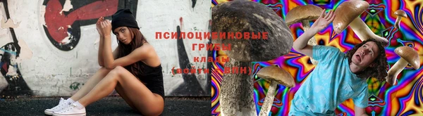 ECSTASY Ачинск